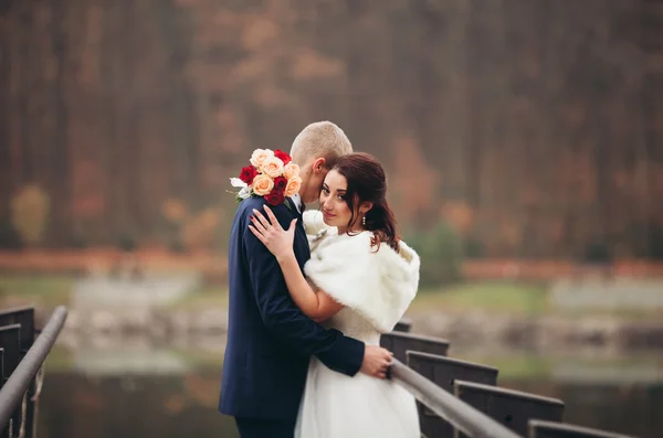 El amor y la pasión - el beso de la pareja casada joven de boda cerca del lago —  Fotos de Stock