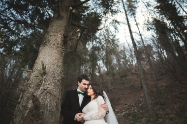 Evlilik çift çam ormanı poz. Yeni evliler aşık