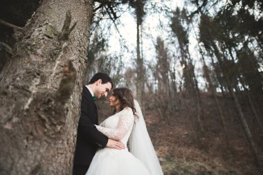 Evlilik çift çam ormanı poz. Yeni evliler aşık