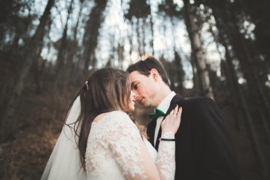 Evlilik çift çam ormanı poz. Yeni evliler aşık