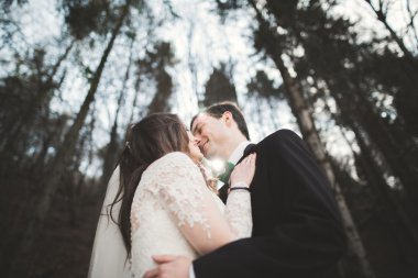 Evlilik çift çam ormanı poz. Yeni evliler aşık