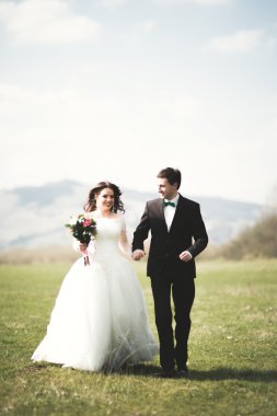 Güzel düğün çift, Gelin, poz ve yüksek Dağları arka planı alanında yürüme damat