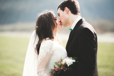 Güzel düğün çift, Gelin, poz ve yüksek Dağları arka planı alanında yürüme damat