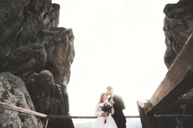 Mutlu evlilik çift, gelin ve damat kayalar güzel manzaralı yakınındaki poz