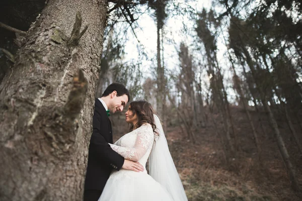 웨딩 부부 소나무 숲 근처 포즈입니다. 사랑에 신혼 부부 — 스톡 사진