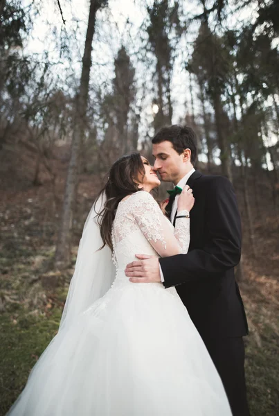 Bröllopsparet poserar nära pinjeskogen. Nygifta i kärlek — Stockfoto