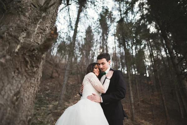 Весільний пара позують поблизу соснового лісу. Молодята в любові — стокове фото