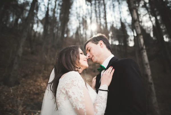 結婚式のカップルは、松の森の近くのポーズします。愛の新婚夫婦 — ストック写真