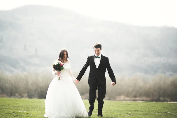 Hermosa pareja de boda, novia, novio posando y caminando en el campo sobre el fondo de las altas montañas — Foto de Stock