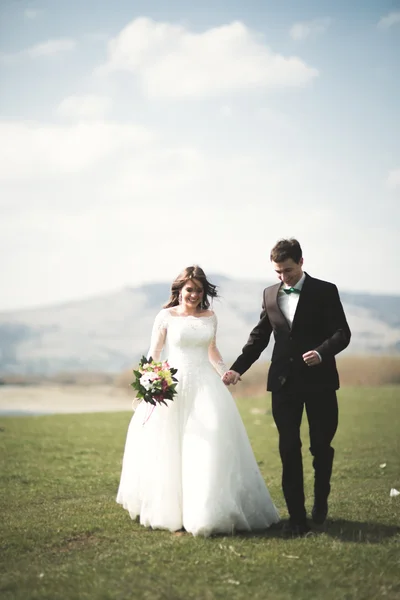 아름 다운 결혼식 커플, 신부, 신랑 포즈 및 높은 산의 배경 필드에 산책 — 스톡 사진