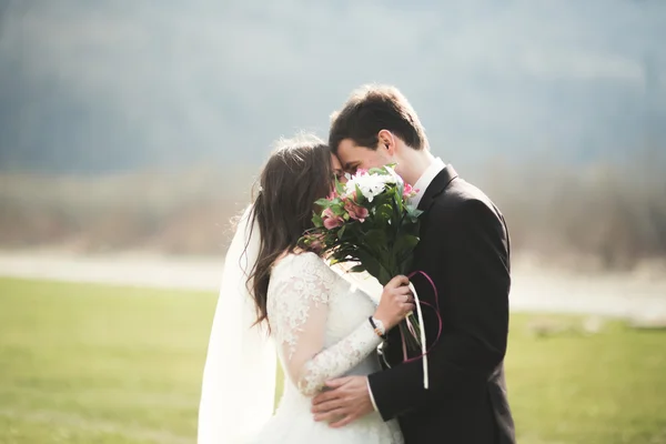 Casal de casamento bonito, noiva, noivo posando e andando em campo contra o fundo de altas montanhas — Fotografia de Stock