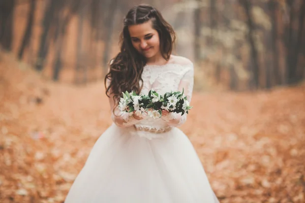 Cantik pengantin berpose di taman dan hutan musim gugur — Stok Foto