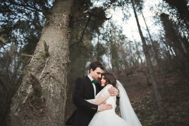 Evlilik çift çam ormanı poz. Yeni evliler aşık