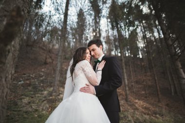 Evlilik çift çam ormanı poz. Yeni evliler aşık