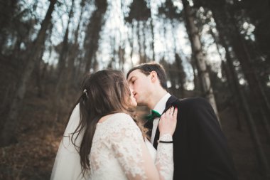 Evlilik çift çam ormanı poz. Yeni evliler aşık