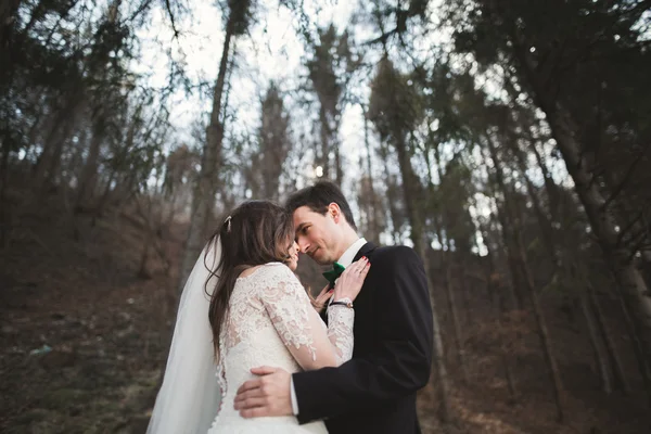 Hochzeitspaar posiert in der Nähe von Kiefernwald. frisch Verliebte — Stockfoto