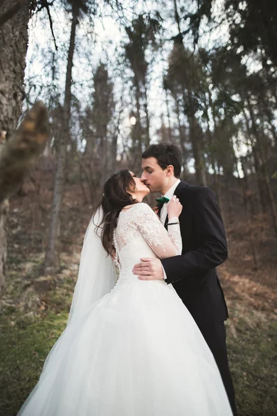 Casamento casal posando perto de pinhal. Recém-casados apaixonados — Fotografia de Stock