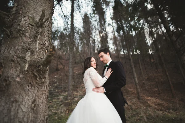 Pareja de boda posando cerca del bosque de pinos. Recién casados enamorados —  Fotos de Stock