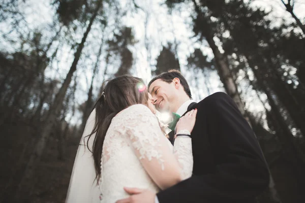 Esküvői pár jelentő fenyves erdő közelében. Szerelmes ifjú — Stock Fotó