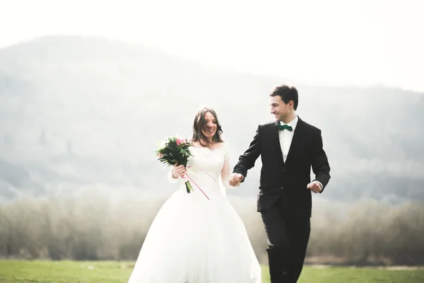 Bella coppia di nozze, sposa, sposo in posa e camminare in campo sullo sfondo di alte montagne — Foto Stock