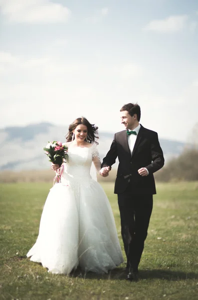 Beautiful wedding couple, bride, groom posing and walking in field against the background of high mountains — Stock Photo, Image