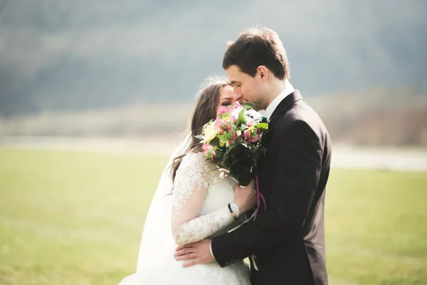 Mooie bruiloft paar, bruid, bruidegom poseren en wandelen in veld tegen de achtergrond van de hoge bergen — Stockfoto