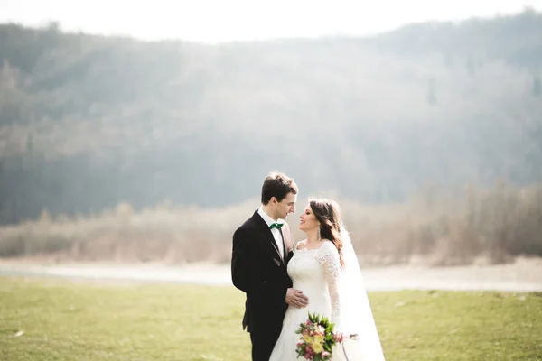 Schöne Hochzeitspaar, Braut, Bräutigam posiert und geht in Feld vor dem Hintergrund der hohen Berge — Stockfoto