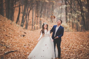 Mutlu evlilik çift, gelin ve damat sonbahar ormanda yürüyüş parkı