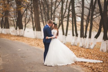 Mutlu evlilik çift, gelin ve damat sonbahar ormanda yürüyüş parkı