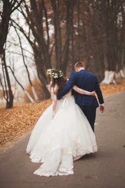 Mutlu evlilik çift, gelin ve damat sonbahar ormanda yürüyüş parkı