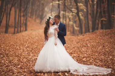 Mutlu evlilik çift, gelin ve damat sonbahar ormanda yürüyüş parkı