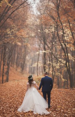 Mutlu evlilik çift, gelin ve damat sonbahar ormanda yürüyüş parkı