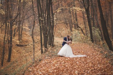 Mutlu evlilik çift, gelin ve damat sonbahar ormanda yürüyüş parkı