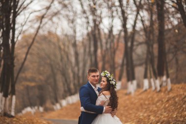 Mutlu evlilik çift, gelin ve damat sonbahar ormanda yürüyüş parkı