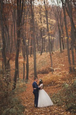 Mutlu evlilik çift, gelin ve damat sonbahar ormanda yürüyüş parkı