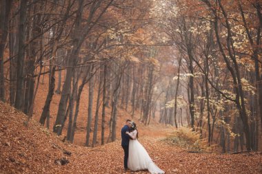 Mutlu evlilik çift, gelin ve damat sonbahar ormanda yürüyüş parkı