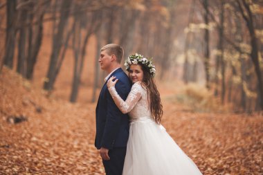 Mutlu evlilik çift, gelin ve damat sonbahar ormanda yürüyüş parkı