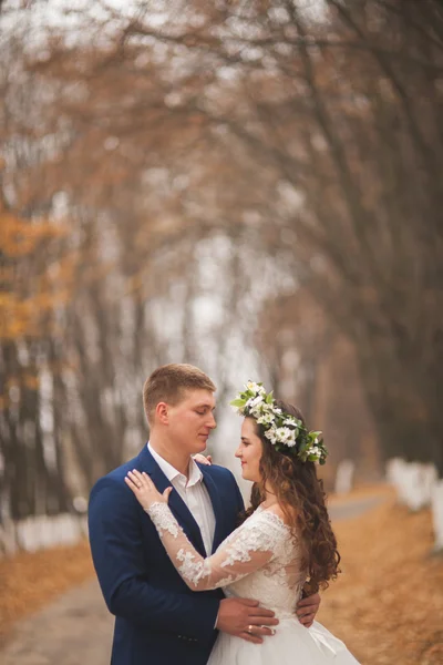 Boda feliz pareja, novia y novio caminando en el bosque de otoño, parque — Foto de Stock