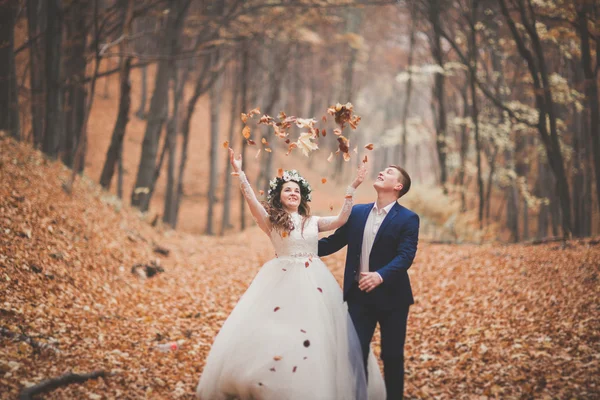 Happy wedding couple, bride and groom walking in the autumn forest, park — Stock Photo, Image