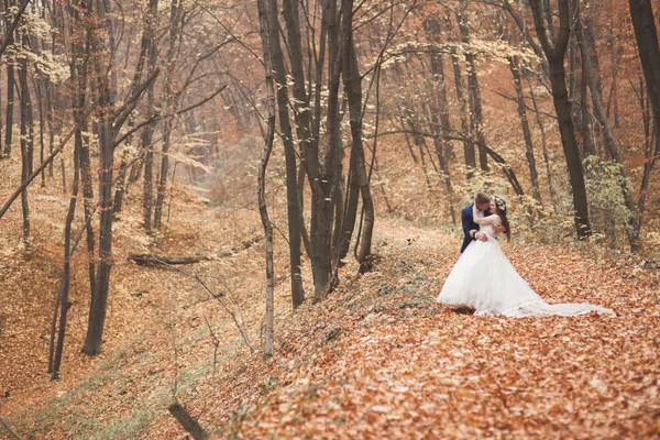 Glückliches Hochzeitspaar, Braut und Bräutigam spazieren im herbstlichen Wald, Park — Stockfoto