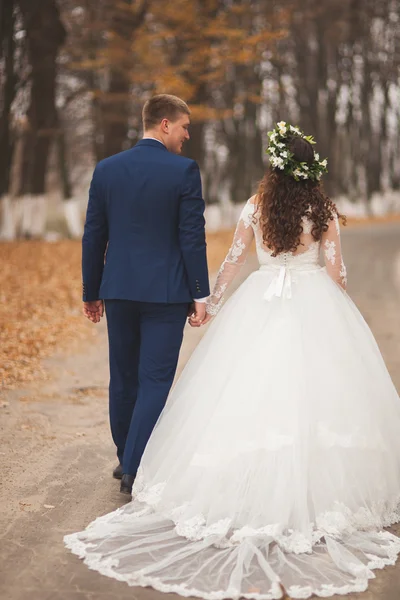 Buon matrimonio coppia, sposa e sposo a piedi nella foresta autunnale, parco — Foto Stock