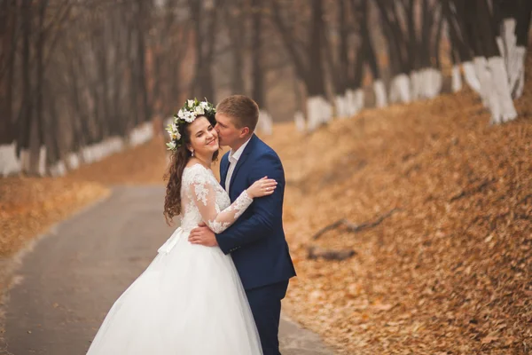 幸せな結婚式のカップル、秋の森を歩く新郎新婦公園 — ストック写真