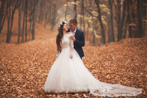 Boda feliz pareja, novia y novio caminando en el bosque de otoño, parque — Foto de Stock