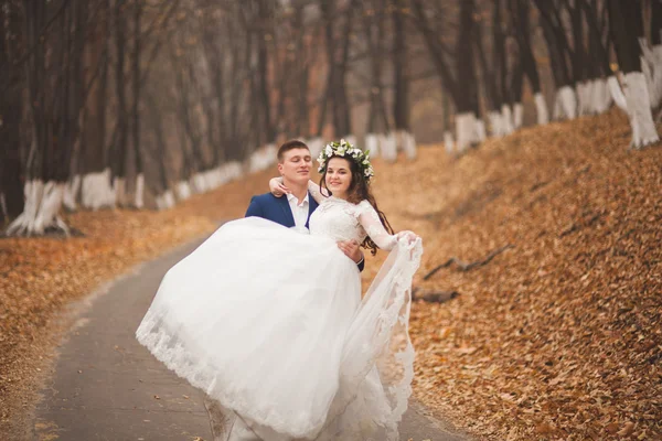 Glückliches Hochzeitspaar, Braut und Bräutigam spazieren im herbstlichen Wald, Park — Stockfoto