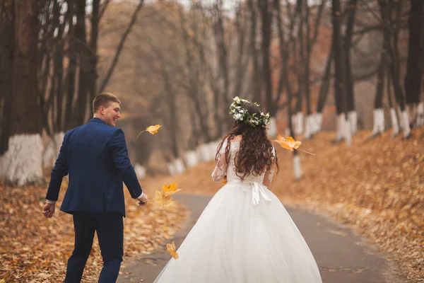 Glückliches Hochzeitspaar, Braut und Bräutigam spazieren im herbstlichen Wald, Park — Stockfoto