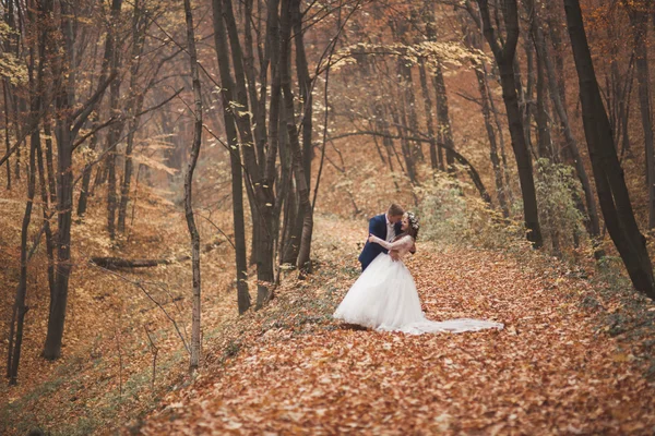 Buon matrimonio coppia, sposa e sposo a piedi nella foresta autunnale, parco — Foto Stock