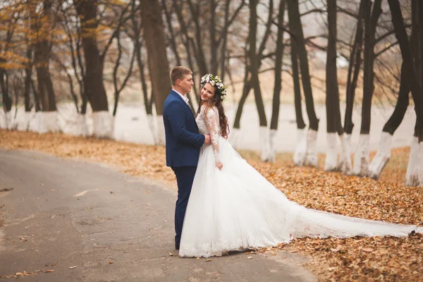 Glückliches Hochzeitspaar, Braut und Bräutigam spazieren im herbstlichen Wald, Park — Stockfoto