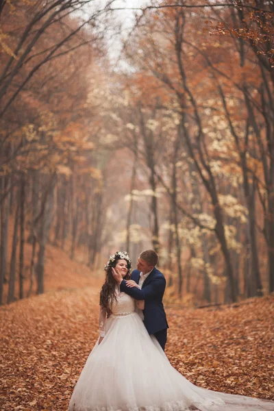 Glückliches Hochzeitspaar, Braut und Bräutigam spazieren im herbstlichen Wald, Park — Stockfoto
