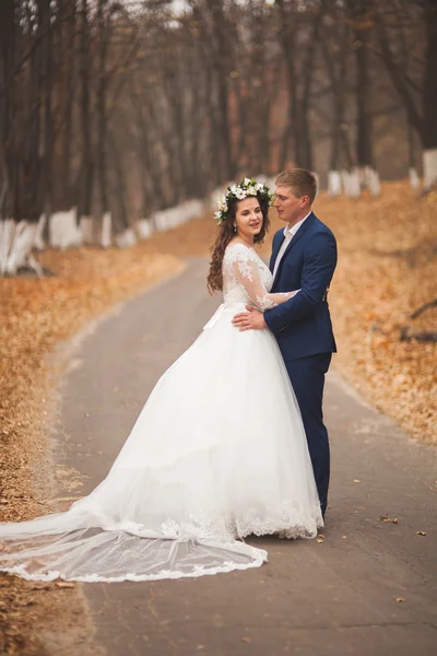 Šťastný, Svatební pár, nevěsta a ženich v podzimním lese, park — Stock fotografie