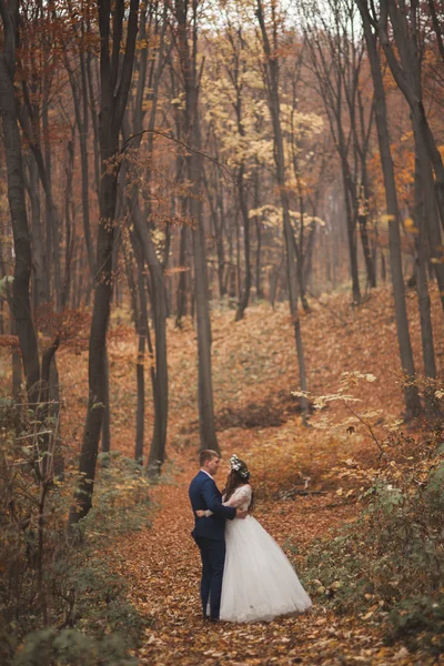 Gelukkig bruidspaar, bruid en bruidegom lopen in de herfst bos, park — Stockfoto